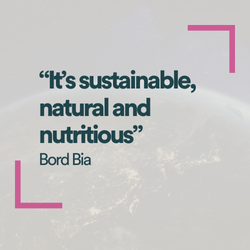 Bord Bia